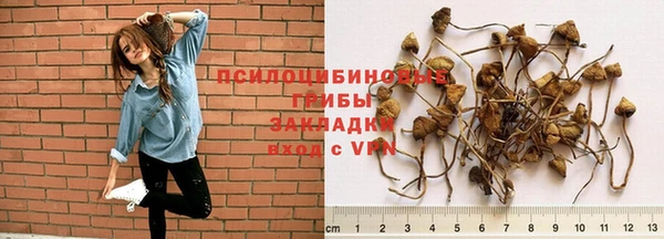 спиды Баксан